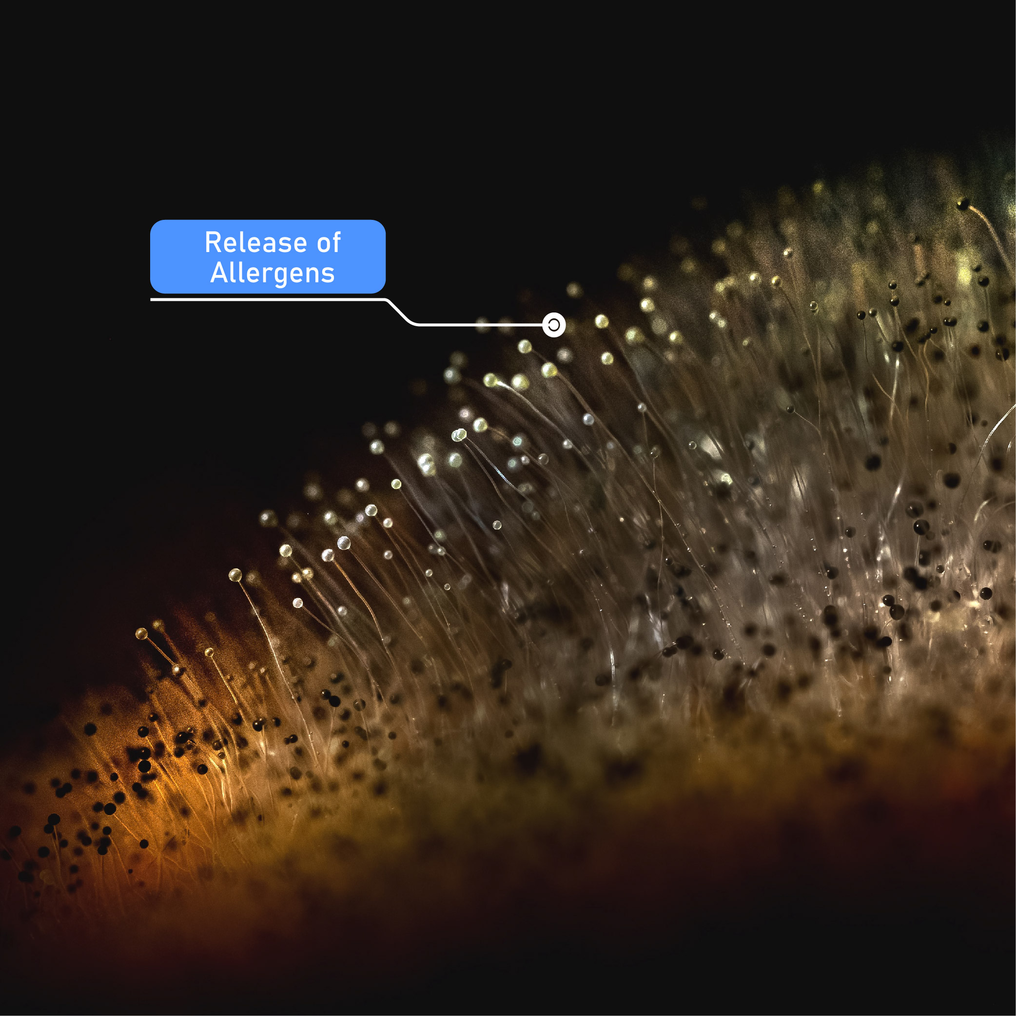 How it helps 1000x1000-03