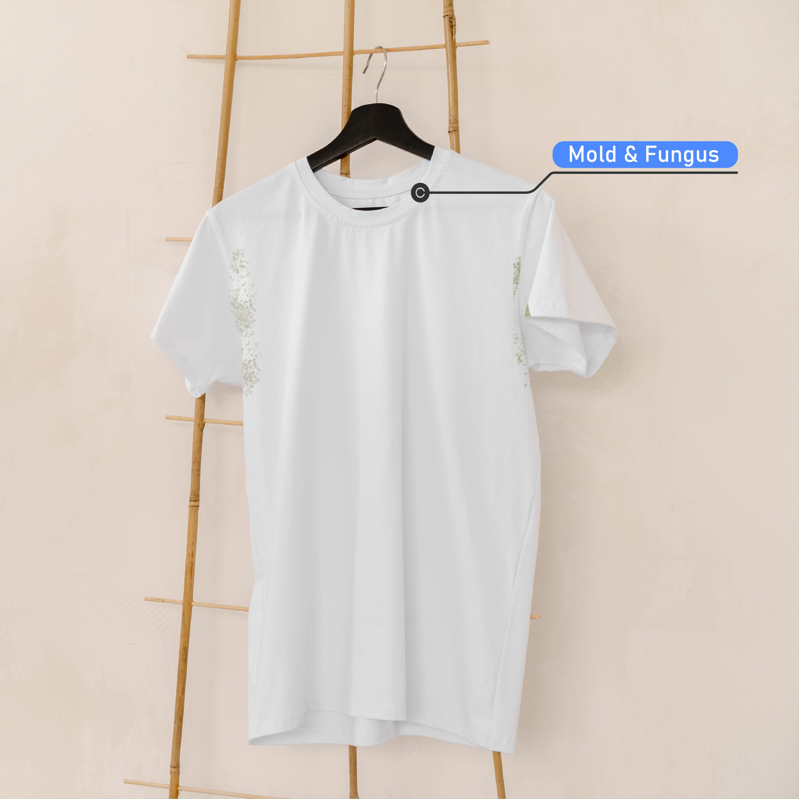 moist free website 1000x1000-01